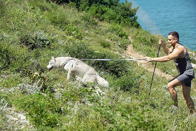 Dog Harness, No Pull Dogs Harness and Multi-Function Leash Set for Medium Dogs Easy Walk Everyday Adjustable Soft Dog Vest Harness Fashionable Dog Accessories Glacier Blue Button-L