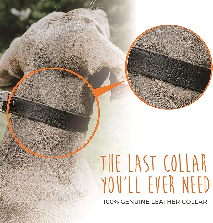 Mighty Paw Martingale Dog Collar - No Pull Design - Stainless Steel Chain - Limited Chain Cinch Training - Brown Leather Martingale Training Collar - Large Size