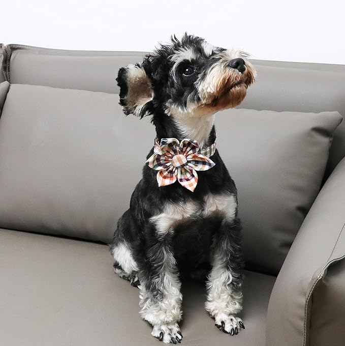 Unique Style Paws Cotton Dog Collar with Bow Floral Plaid Colorful Dog Collar with Bow Tie for Small Medium Large Dogs Pets Gifts