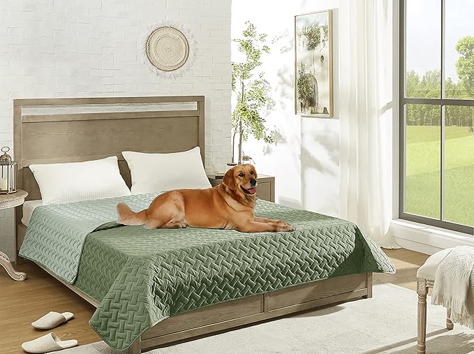 gogobunny 100% Double Sided Waterproof Dog Blanket Soft Pet Bed Cover Reversible Protect Furniture Couch Sofa Car for Puppy Cat Kids (Dark Green/Light Green, 30x30 Inch (Pack of 1))