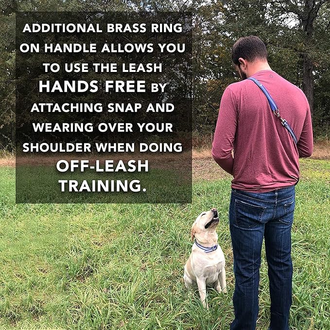 Regal Dog Products Small Blue Green Reflective Dog Collar and Leash Set - Waterproof Biothane Dog Collar with Heavy Duty Double Buckle, D Ring & 5ft Leash - Other Size for Medium & Large Dogs