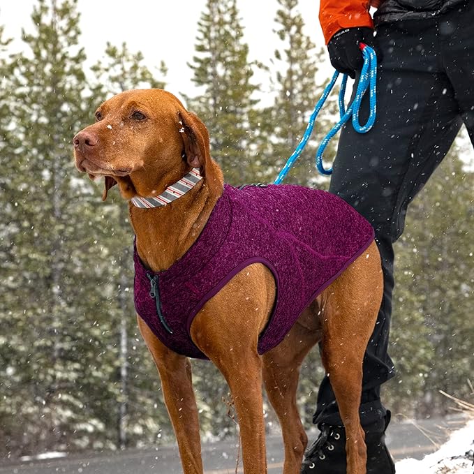 Kurgo Core Dog Sweater, Knit Dog Sweater with Fleece Lining, Cold Weather Pet Jacket, Zipper Opening for Harness, Adjustable Neck, Year-Round Sweater for Small Dogs (Heather Violet, X-Small)
