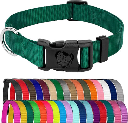 Country Brook Petz - American-Made Dog Collar for Large, Medium, and Small Dogs and Puppies - Deluxe Heavy Duty Nylon in 33 Dazzling Colors (2XS, 3/8 Inch Wide, Green)