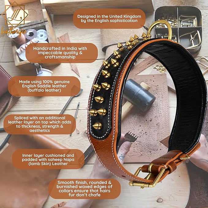 Genuine Leather Dog Collar by Leatherific, Premium Bridle Leather, Heavy Duty, Padded, Strong, Screwed Spikes, Medium, Large, Extra Large Breeds, 2" Wide (Charcoal, Neck Size 22"-26")