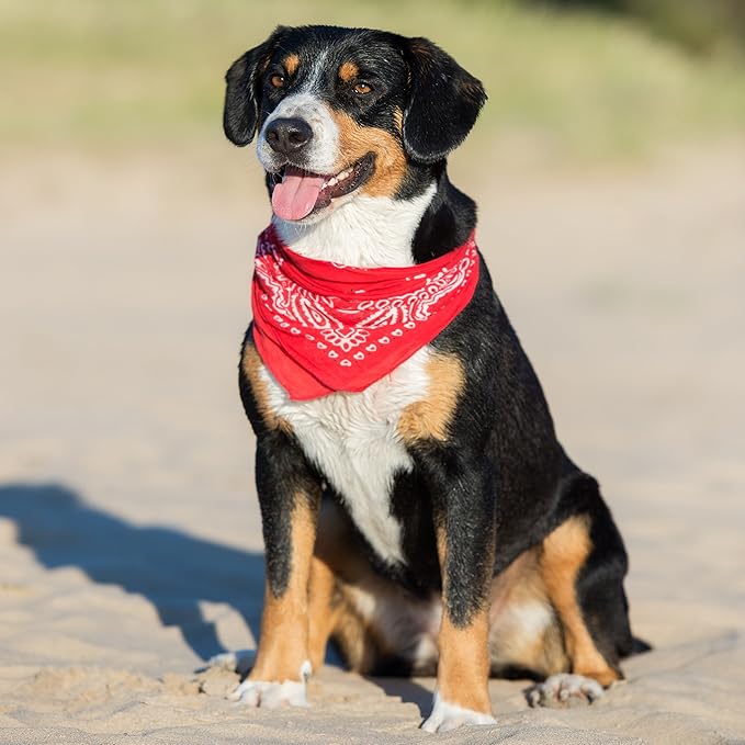 5 Pack Mechaly Dog Bandana Neck Scarf Paisley Cotton Bandanas - Any Pets