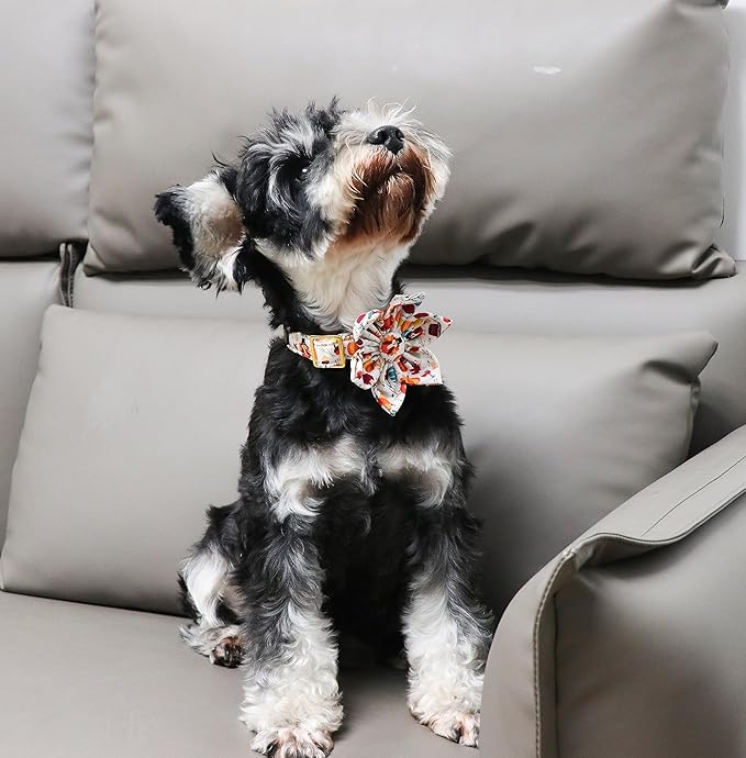 Unique Style Paws Cotton Thanksgiving Dog Collar with Bow Halloween Pumpkin Plaid Dog Collar with Bow Tie for Small Medium Large Dogs Pets Gifts