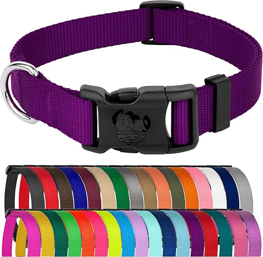 Country Brook Petz - American-Made Dog Collar for Large, Medium, and Small Dogs and Puppies - Deluxe Heavy Duty Nylon in 33 Dazzling Colors (Large, 1 Inch Wide, Purple)
