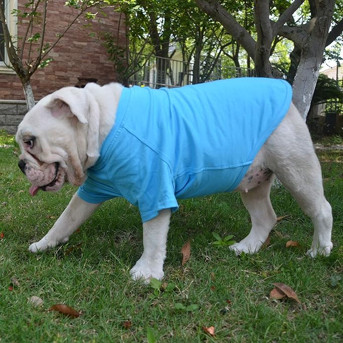 Lovelonglong Bulldog Clothes Dog Clothing Blank T-Shirt Tee Shirts for French Bulldog English Bulldog American Pit Bull Pugs 100% Cotton Skin Care Lake-Blue B-L