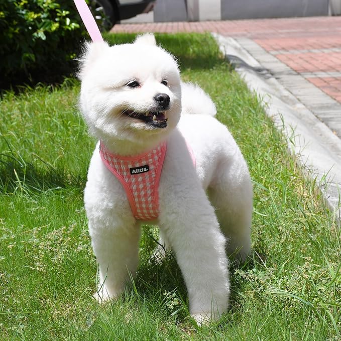 AIITLE Easy Walk Dog Vest Harness and Leash Set, Pet Supply No Pull, Breathable Mesh, Reflective Stripes, Adjustable Escape Proof Pet Outdoor Harnesses for Medium Dogs Watermelon L