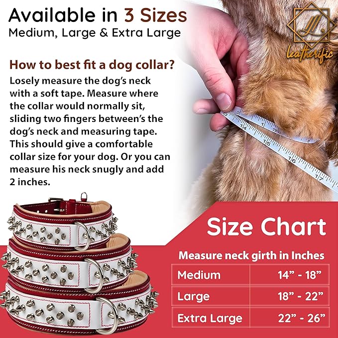Genuine Leather Dog Collar by Leatherific, Premium Bridle Leather, Heavy Duty, Padded, Strong, Screwed Spikes, Medium, Large, Extra Large Breeds, 2" Wide (Red, Neck Size 14"-18")