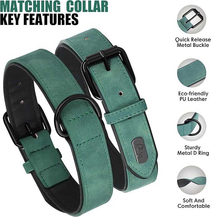Didog Soft Padded Leather Dog Collar and Leash Set, Heavy Duty and Breathable Pet Collars with 4FT Leather Dog Leash for Small Medium Large Dogs, Green, XL