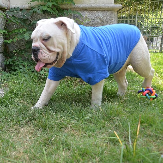 Lovelonglong Bulldog Clothes Dog Clothing Blank T-Shirt Tee Shirts for French Bulldog English Bulldog American Pit Bull Pugs 100% Cotton Skin Care Blue B-M