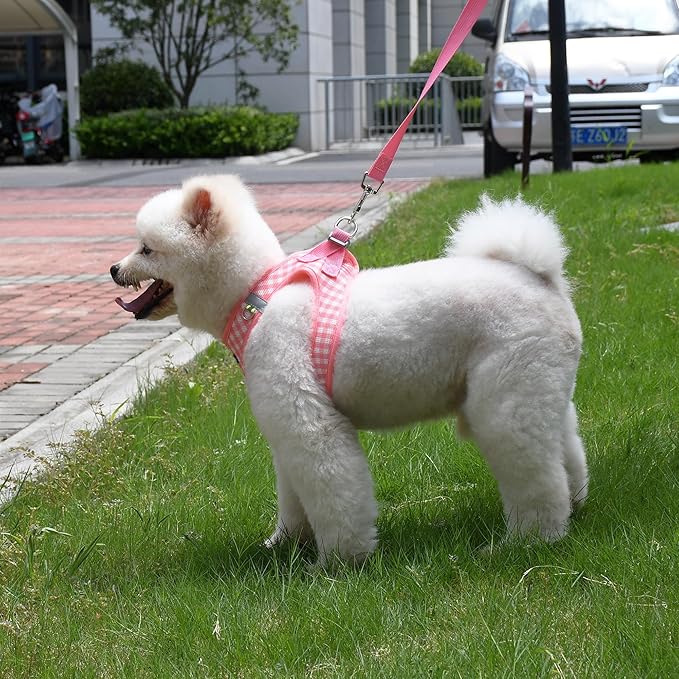 AIITLE No Pull Dog Harness and Leash Set, Step in No Chock Soft Mesh Dog Harnesses Reflective for Extra-Small Puppy Dogs and Cats, Plaid Dog Vest Harness for Pets Watermelon XXS