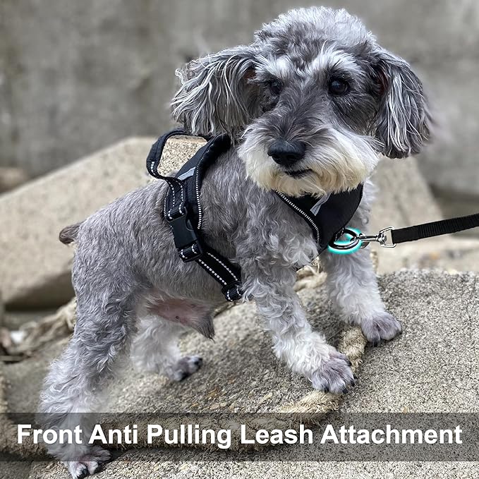 No Pull Dog Harness, Reflective Walking Dog Harness with Easy Control Handle and Front & Back Clips,Adjustable Breathable Soft Padded Dog Vest Harness for Large Medium Small Dogs,Black,M