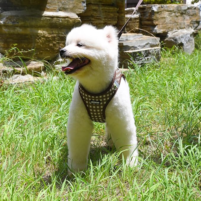 AIITLE No-Pull Pet Harness with a Leash, Plaid Comfort Padded Vest, Step in Dog Harness, Reflective Bands, Soft Breathable Pet Supplies, for Small and Medium Dogs and Cats Chocolate S