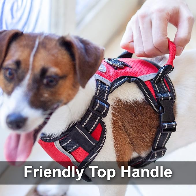 No Pull Dog Harness, Reflective Walking Dog Harness with Easy Control Handle and Front & Back Clips,Adjustable Breathable Soft Padded Dog Vest Harness for Large Medium Small Dogs,RED,M