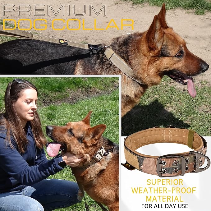 ADITYNA Heavy Duty Dog Collar for Medium Dogs - Camo Collar with Handle for Training, and Walking - Wide, Thick, Tactical, Soft Neoprene Padded