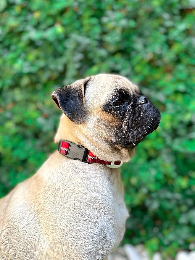 Tuff Pupper Heavy Duty Dog Collar | Reflective with Aluminum D-Ring Leash Clip | Separate Dog ID Tag Attachment | Easy Sizing for All Breeds