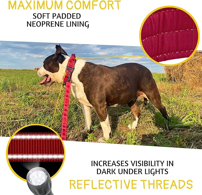 ADITYNA Heavy Duty Dog Collar for Large Dogs - Reflective Burgundy Collar with Handle for Training, and Walking - Wide, Thick, Tactical, Soft Neoprene Padded