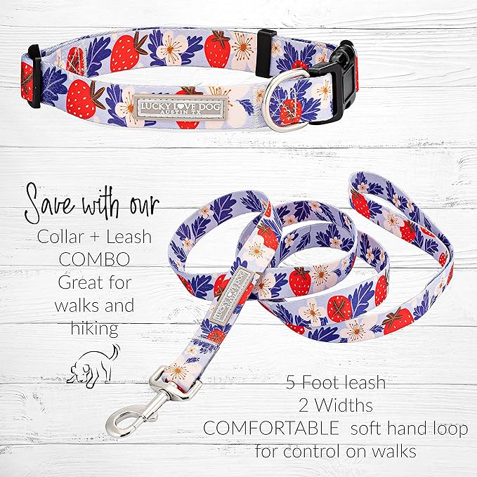 Lucky Love Dog - Easy Click Buckle Dog Collar with Leash Set Combo, Durable & Comfortable for Male & Female Dogs, Pet Collar for Small to Large Dogs, Secure Fit - Sweet Berry Combo, Large