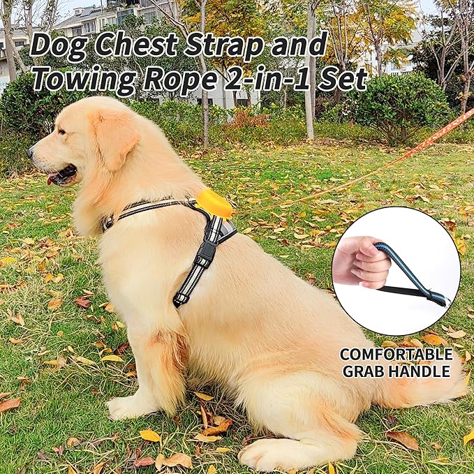 Dog Harness and Leash Set |Dog Vest Harness with 6 ft Multifunction Retractable Dog Leash | with One-Button Control,One-Handed Brake, Tangle Free (M)