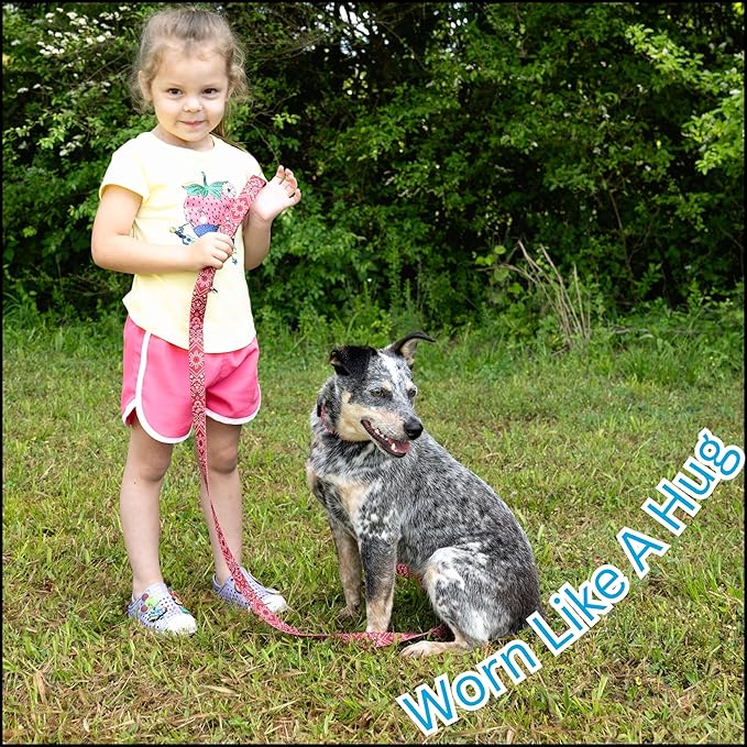 Country Brook Petz - Deluxe Red Bandana Dog Collar - Made in The U.S.A. - Country and Western Collection Featuring Rustic Designs (1 Inch, Large)