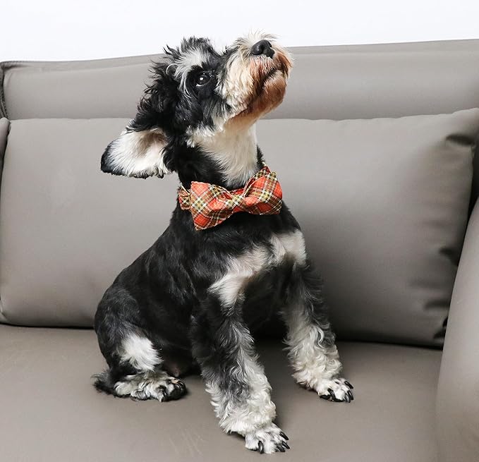 Unique Style Paws Cotton Dog Collar with Bow Halloween Pumpkin Plaid Dog Collar with Bow Tie for Small Medium Large Dogs Pets Gifts