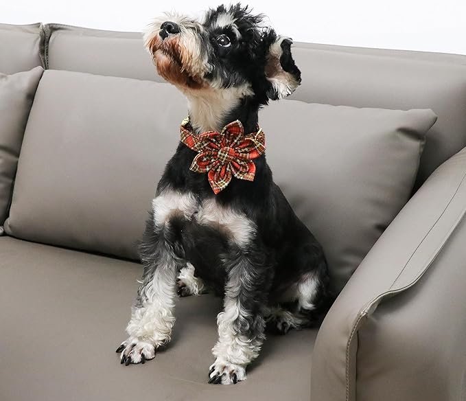 Unique Style Paws Cotton Dog Collar with Bow Halloween Pumpkin Plaid Dog Collar with Bow Tie for Small Medium Large Dogs Pets Gifts