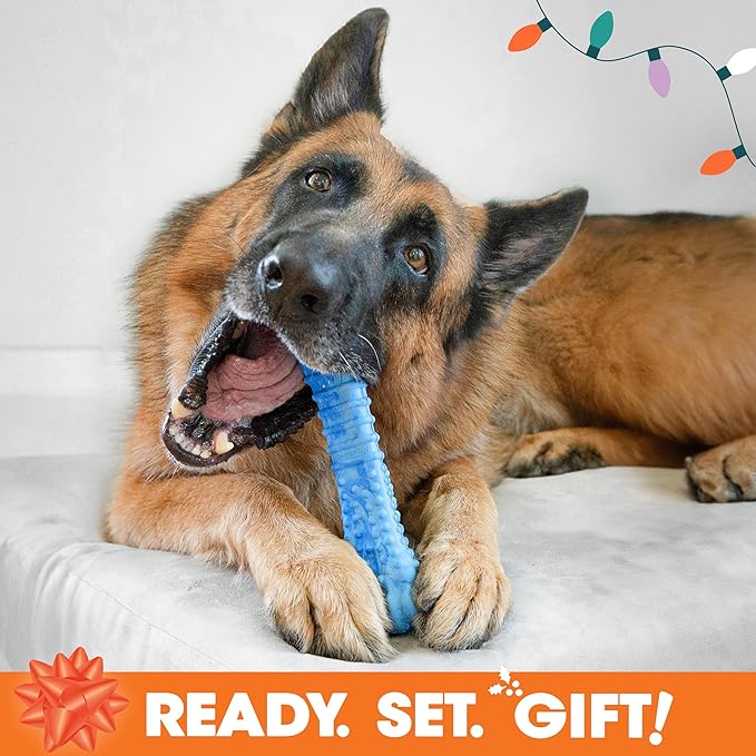 Nylabone Dog Gift Box, Includes 3 Rubber Strong Chew Toys and 1 Natural Treat, Gifts for Dogs, Large - Up to 50 lbs, 4 Pack