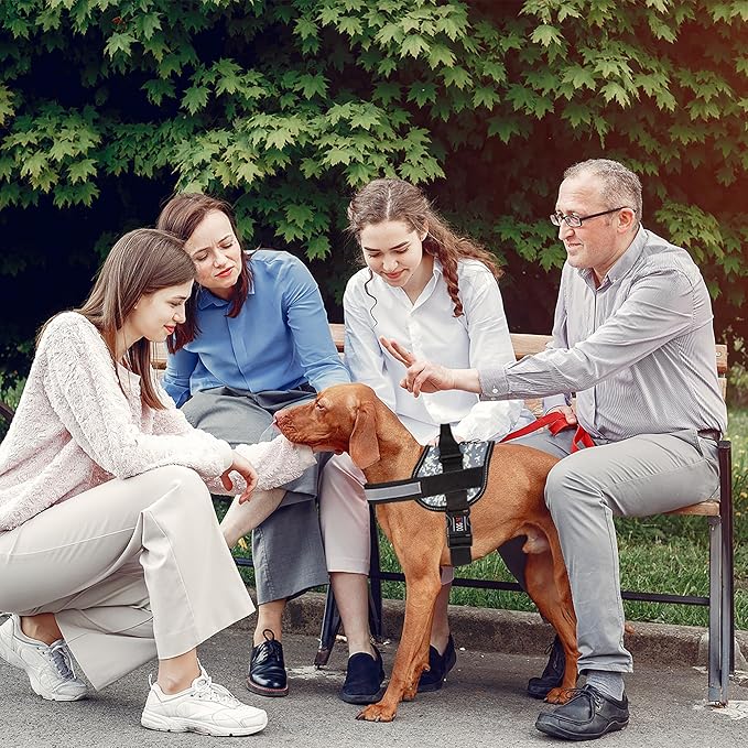 Dogline Dog Harness, Reflective No-Pull Adjustable Vest with Handle for Walking, Training, Breathable, No - Choke Harness for Small, Medium or Large Dogs Room for Patches Girth 33"-46" in Urban Camo