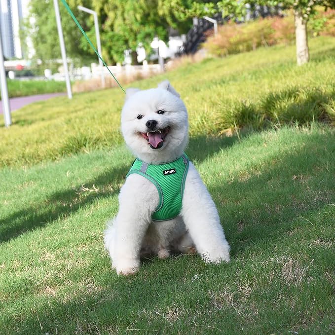 AIITLE No Pull Dog Harness and Leash Set, Step in Adjustable Dog Harness with Padded Vest for All Weather, Reflective Pet Harness, Easy to Put on Small Dogs Green S