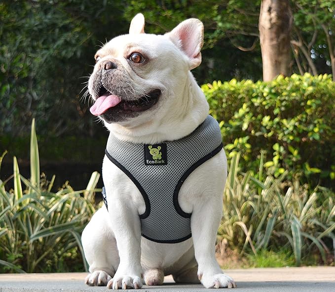 Classic Dog Harness Over The Head No Pull No Choke Design Soft Double Padded Breathable Vest for Eco-Friendly Easy Control Walking Quick Release for Medium Sized Dogs (Large, Gray)