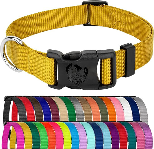 Country Brook Petz - American-Made Dog Collar for Large, Medium, and Small Dogs and Puppies - Deluxe Heavy Duty Nylon in 33 Dazzling Colors (Extra Large, 1 Inch Wide, Gold)