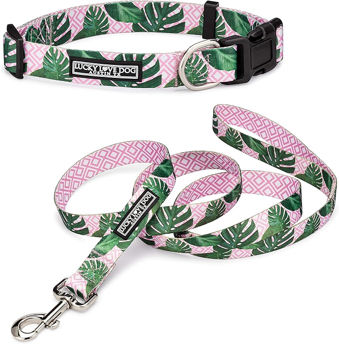 Lucky Love Dog, Tropical Matching Dog Collar & Leash Set, Soft & Comfy, Vivid Pink Color Collar and Leash for Female Male Dogs - (Large, Laguna Combo)