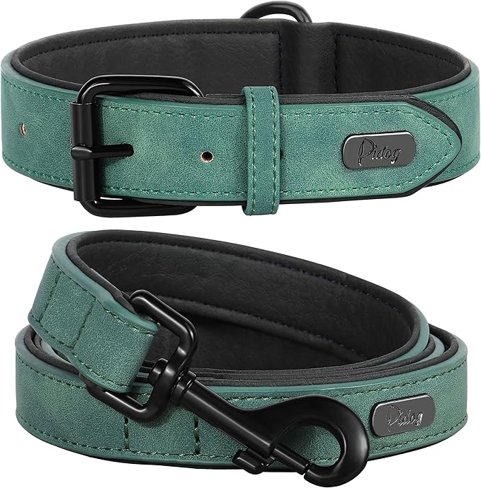 Didog Soft Padded Leather Dog Collar and Leash Set, Heavy Duty 4FT Faux Leather Dog Leash and Collar Set with Metal Buckle for Small Medium Large Dogs, Green, L