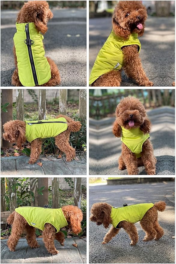 Winter Vest for Dogs, Waterproof & Windproof, Cotton Lined, Zippered Jacket, Breathable, Soft, Green, XS to L