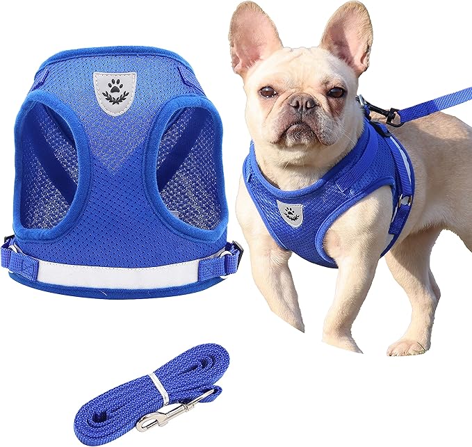 Step in Dog Harness and Leash Set,Reflective Adjustable Soft Mesh Breathable Pet Vest Dog Harnesses Set, No Chock No Pull Padded Puppy Harnesses for Small Dogs and Cats (Blue, X-Small)