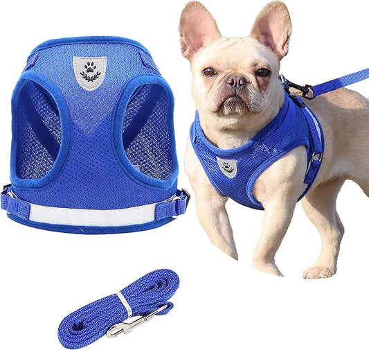 Step in Dog Harness and Leash Set,Reflective Adjustable Soft Mesh Breathable Pet Vest Dog Harnesses Set, No Chock No Pull Padded Puppy Harnesses for Small Dogs and Cats (Blue, X-Small)