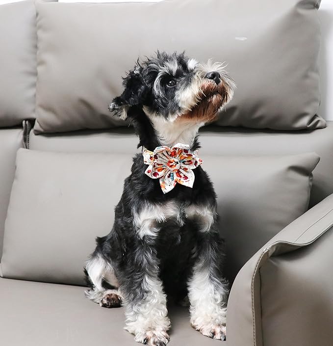 Unique Style Paws Cotton Thanksgiving Dog Collar with Bow Halloween Pumpkin Plaid Dog Collar with Bow Tie for Small Medium Large Dogs Pets Gifts