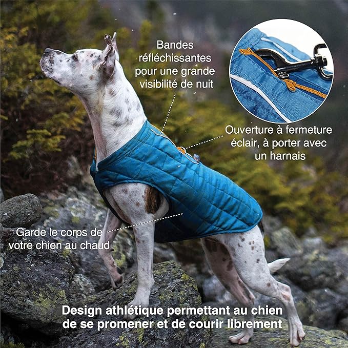 Kurgo Loft Dog Jacket, Reversible Dog Coat, Wear with Harness or Sweater, Water Resistant, Reflective, Winter Coat for Small Dogs (Ink Blue, S)