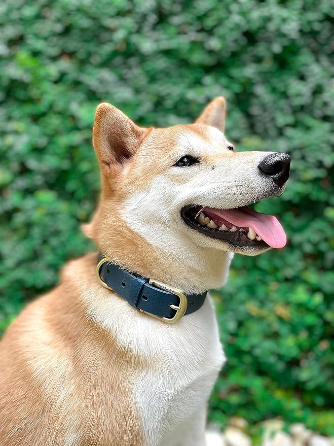 Tuff Pupper Classic Heavy Duty Dog Collar | 10x Stronger Than Leather | 100% Waterproof & Odor Proof Dog Collar | Tough Rust-Proof All Metal Hardware