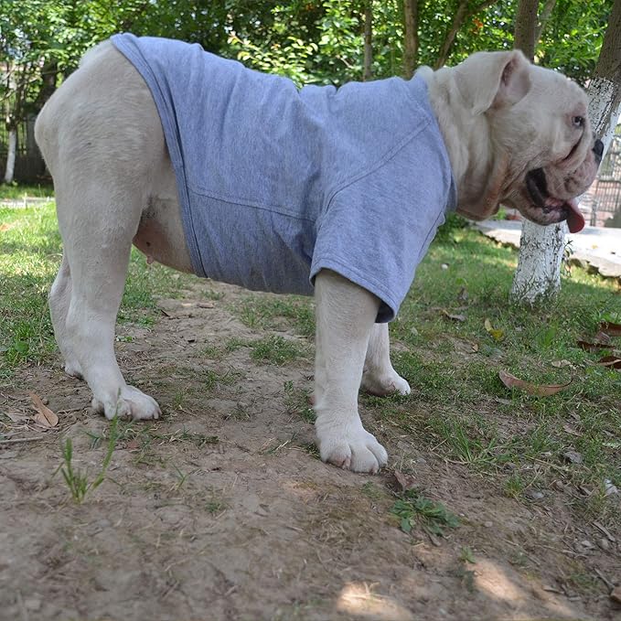 Lovelonglong Bulldog Clothes Dog Clothing Blank T-Shirt Tee Shirts for French Bulldog English Bulldog American Pit Bull Pugs 100% Cotton Skin Care Gray B-S