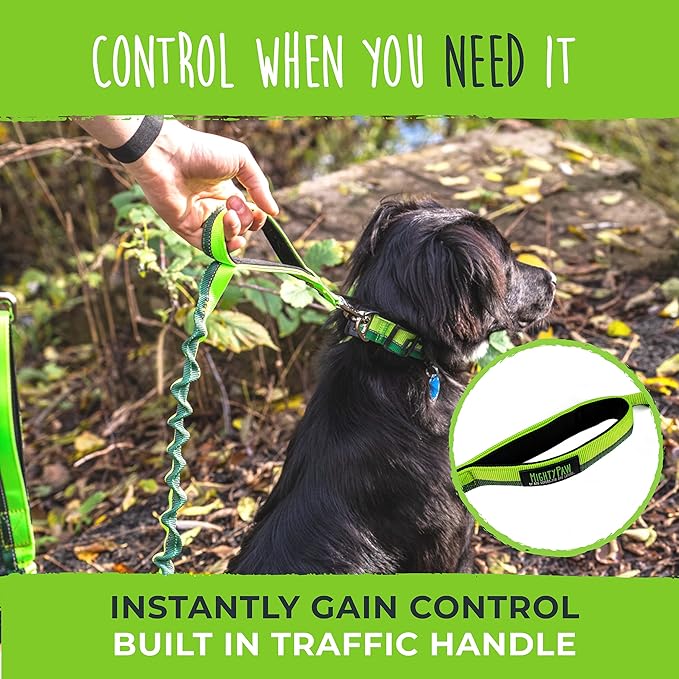 Mighty Paw Hands Free Dog Leash | Bungee Waist Leash for Dog Walking. Pet Running Hands Free Tether for Large, Medium & Small Breeds. Pet Waist Belt (36" - 48") Up to 150 lbs - Green