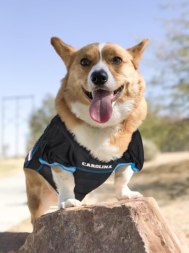 NFL Carolina Panthers Dog Jersey, Size: Small. Best Football Jersey Costume for Dogs & Cats. Licensed Jersey Shirt