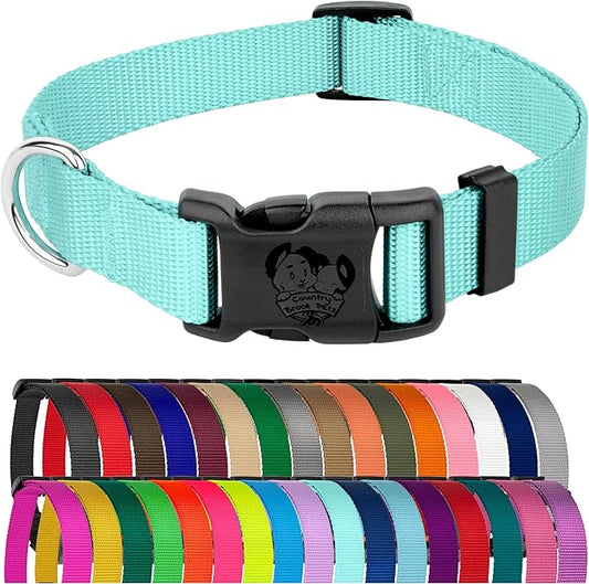 Country Brook Petz - American-Made Dog Collar for Large, Medium, and Small Dogs and Puppies - Deluxe Heavy Duty Nylon in 33 Dazzling Colors (Medium, 3/4 Inch Wide, Light Cyan)