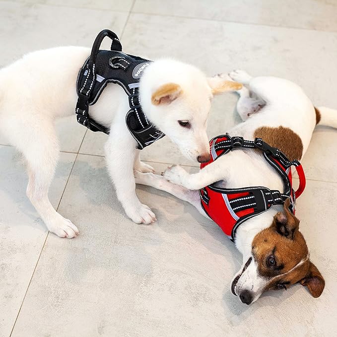 No Pull Dog Harness, Reflective Walking Dog Harness with Easy Control Handle and Front & Back Clips,Adjustable Breathable Soft Padded Dog Vest Harness for Large Medium Small Dogs,RED,M