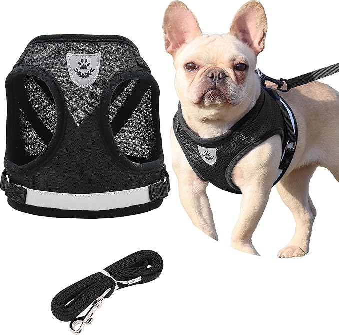 Step in Dog Harness and Leash Set,Reflective Adjustable Soft Mesh Breathable Pet Vest Dog Harnesses Set, No Chock No Pull Padded Puppy Harnesses for Small Dogs and Cats (Black, X-Small)