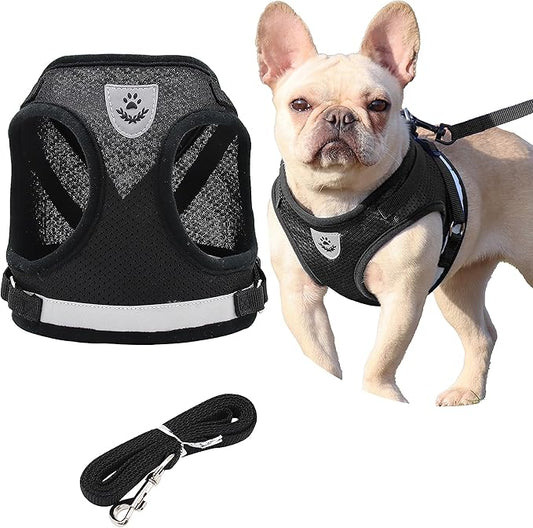 Step in Dog Harness and Leash Set,Reflective Adjustable Soft Mesh Breathable Pet Vest Dog Harnesses Set, No Chock No Pull Padded Puppy Harnesses for Small Dogs and Cats (Black, Small)
