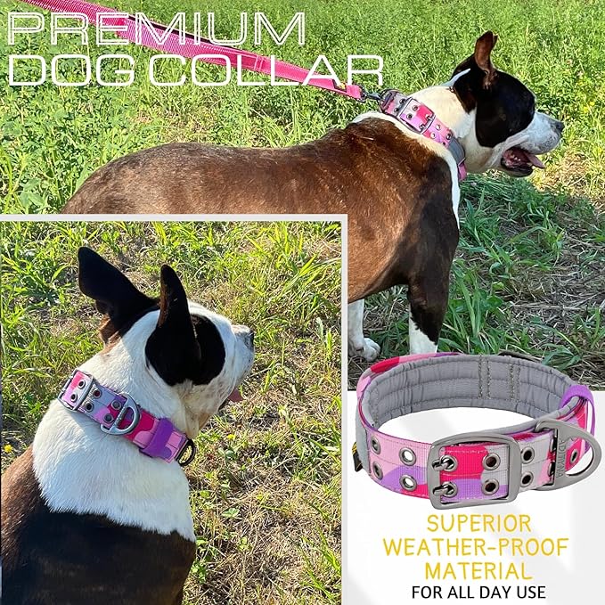 ADITYNA Heavy Duty Dog Collar for Extra-Large Dogs - Camo Pink Purple Collar with Handle for Training, and Walking - Wide, Tactical, Soft Neoprene Padded