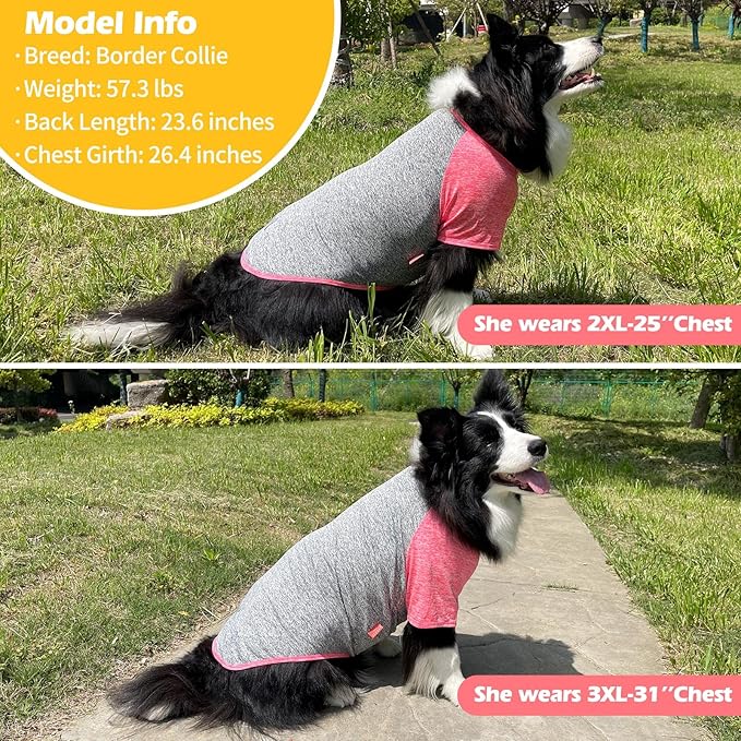 KYEESE 2 Pack Dog Shirts Quick Dry Breathable Lightweight Stretchy Dog T-Shirt with Reflective Label Raglan Sleeve Pet Clothes for Dogs Sun Protection, Coral Red+Grey, 3XL